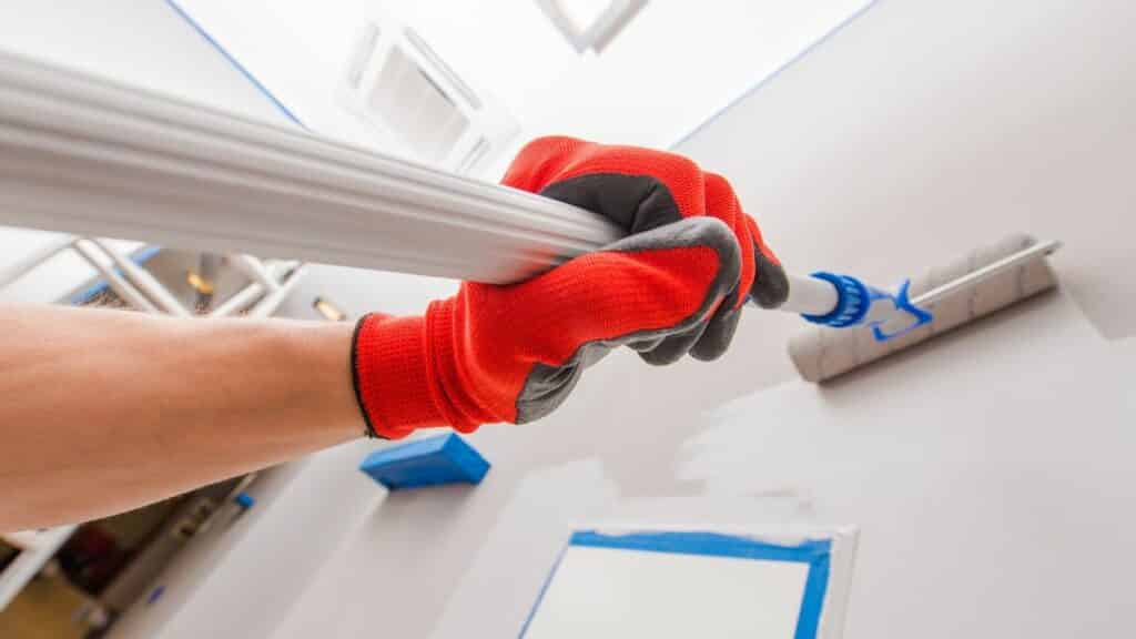 painting and decorating houses in Dublin